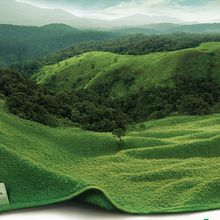 World Travel Day Ad 2012 . Publicitate, Design și Retușarea fotografiilor de muhammed akbar - 09.25.2012