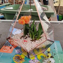 Il mio progetto del corso: Creazione di un terrario con la tecnica Tiffany. Accessor, Design, Decoration, DIY, Floral, Plant Design & Interior Design project by gabriele imparato - 09.23.2024