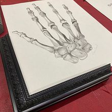 My project for course: Intro to Anatomy Drawing with Graphite Pencil. Drawing, Figure Drawing, Pencil Drawing, Realistic Drawing, and Fine Arts project by Maria Andree O - 12.13.2023