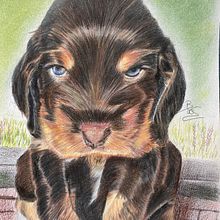 Mi proyecto del curso: Retratos de Mascotas en Lápices de Colores. Un proyecto de Ilustración tradicional e Ilustración naturalista				 de Begoña Verano Garrido - 06.02.2025