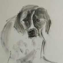 My project for course: Expressive Drawing with Charcoal. Un projet de Dessin, Beaux Arts, Dessin de portrait et Illustration naturaliste de Ismini Mylona - 26.09.2024
