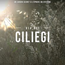 Via deil ciliegi -  A Documentary by Janaka Samarakoon [Teaser]. Un proyecto de Postproducción audiovisual, Cine, vídeo, televisión, Realización audiovisual y Vídeo de Janaka Samarakoon - 20.09.2024