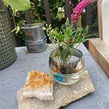 Floral with Crystals-I AM CONNECTED TO THE EARTH. Un progetto di Design floreale e vegetale di Holly Campbell - 27.09.2024