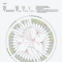 Data visualisation: Placenta: A natural, physiological third stage of labour. Graphic Design, Infographics, Information Design & Interactive Design project by jilke - 09.27.2024