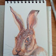 Mi proyecto del curso: Técnicas experimentales de acuarela para principiantes. Un proyecto de Ilustración tradicional, Pintura a la acuarela, Bellas Artes e Ilustración naturalista				 de bogueal - 21.09.2024