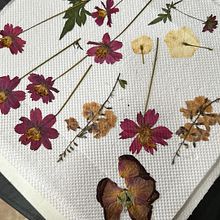 Mi proyecto del curso: Técnicas básicas de prensado botánico. Arts, Crafts, Fine Arts, Collage, DIY, Floral, and Plant Design project by Mar… - 09.28.2024