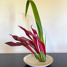 Mi proyecto del curso: Ikebana: arreglos florales para principiantes. Decoration, Floral, Plant Design, Interior Decoration & Interior Design project by nataliapassos01 - 09.29.2024