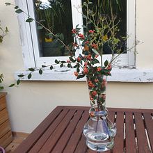My project for course: Ikebana: flower arrangement for beginners. Projekt z dziedziny  Dekoracja wnętrz, Kompoz, cje kwiatowe i botaniczne, Dekoracja wnętrz i Projektowanie wnętrz użytkownika scezara - 28.09.2024