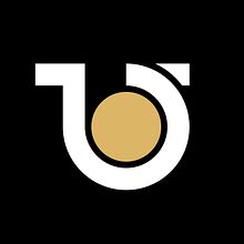 My project for course: Logo design: creation of monograms. Projekt z dziedziny Br, ing i ident, fikacja wizualna, Projektowanie graficzne, Projektowanie logot i pów użytkownika Tahsin Tasnim Talha - 22.09.2024