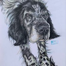 Mi proyecto del curso: Retratos de Mascotas en Lápices de Colores. Traditional illustration, and Naturalistic Illustration project by Francisco Aguilar Grande - 10.03.2024