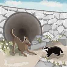 Mi proyecto del curso: Ilustración digital para cuentos infantiles. Aventuras de un coyote y un tejón  Ein Projekt aus dem Bereich Traditionelle Illustration, Zeichnung, Digitale Illustration, Kinderillustration, Digitale Zeichnung, Digitale Malerei und Erzählung von Ivette Castillejo - 25.09.2024