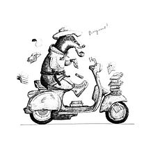 Badger - Fineliner Illustration. Drawing, Pencil Drawing, Artistic Drawing, Realistic Drawing, Traditional illustration & Ink Illustration project by Kako Art - 10.05.2024