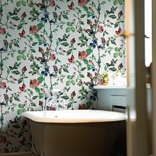"Naturae" Wallpaper collection with Coordonné. Design, Traditional illustration, and Decorative Painting project by Joana Santamans Mercadé - 10.07.2024