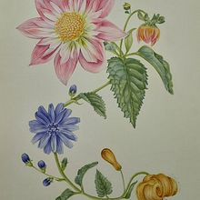 Mi proyecto del curso: Acuarela realista para composiciones botánicas. Botanical Illustration, Drawing, Traditional illustration, and Watercolor Painting project by beatrizasinl - 10.08.2024