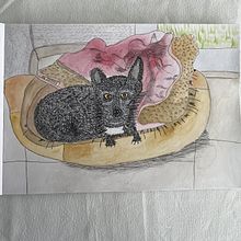 Mon projet du cours : Dessin pour débutants niveau -1. Pencil Drawing, Drawing, Creating with Kids, and Sketchbook project by olivia_latka - 10.08.2024
