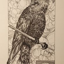 Il mio progetto del corso: Illustrazione realistica di uccelli con elementi di fantasia. Projekt z dziedziny  R, sunek,  R, sunek atramentem, Ilustracja naturalist, czna, R i sunek ołówkiem użytkownika MARTA USAI - 09.10.2024