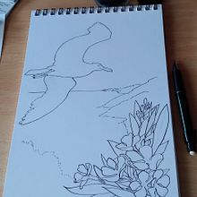 Mi proyecto del curso: Ilustración con tinta y plumilla: captura el mundo natural. Projekt z dziedziny  R, sunek art, st, czn,  R, sunek,  R, sunek atramentem, Ilustracja naturalist, czna, Sketchbook i Sketching użytkownika Mayte Sánchez Sempere - 10.10.2024