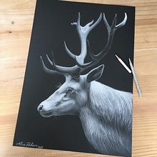 Black Paper. Traditional illustration project by Aline Pinheiro - 10.10.2024