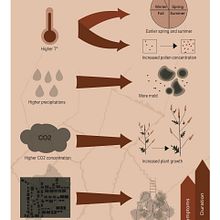 My project for course: Visual Storytelling Through Infographics  Ein Projekt aus dem Bereich Digitale Illustration, Grafikdesign und Infografik von Emilie Etoundi - 11.10.2024