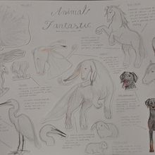 Animal fantàstic y apunts d'altres animals. Un progetto di Illustrazione tradizionale di mani_23 - 13.10.2024