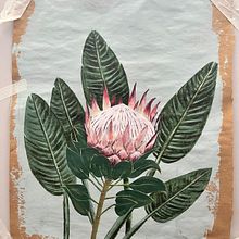 Meu projeto do curso: Pintura botânica com acrílico. Fine Arts, Traditional illustration, Painting, Acr, lic Painting, and Botanical Illustration project by Amanda Marinho - 10.14.2024