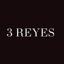 proyecto ficticio . Br, ing, Identit, Graphic Design, Social Media Design, and Web Design project by JOSE ANTONIO BANCES RIVADENEYRA - 10.12.2024