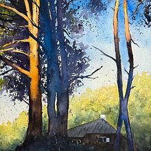 Pine trees in the evening sun close to my swimming spot (in central Stockholm). Watercolor Painting project by Ola Gustafsson - 10.15.2024