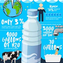 My project for course: Infographic Design: Combine Art and Data. Graphic Design, Infographics, Information Design, and Poster Design project by maricartadenavitan - 10.15.2024