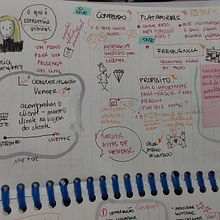 Meu projeto do curso: Sketchnoting: comunique-se com anotações visuais Ein Projekt aus dem Bereich Traditionelle Illustration, Kreativität, Zeichnung, Kommunikation, Management, Produktivität und Business von Cristina Lima - 15.10.2024