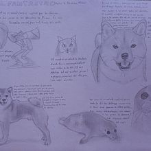 Animal fantàstic. Un proyecto de Ilustración tradicional de mattzodarthereal - 16.10.2024