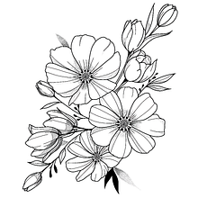 My project for course: Botanical Tattoo with Pointillism. Tattoo Design, Traditional illustration, and Botanical Illustration project by Paula Rodríguez - 10.16.2024