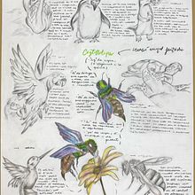 Animal fantàstic . Design, Traditional illustration, and Character Design project by nieves_megiasc - 10.17.2024
