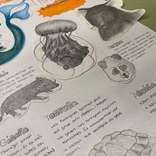 Animal fantàstic - TEG. Un projet de Illustration traditionnelle de nuriaacr - 17.10.2024