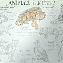 TGP Animals Fantàstics . Traditional illustration, and Character Design project by Iris Osuna Pérez - 10.16.2024