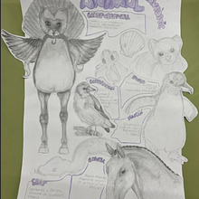 Animal Fantàstic-TEG. Un progetto di Illustrazione tradizionale di Aroa Garcia Toro - 17.10.2024