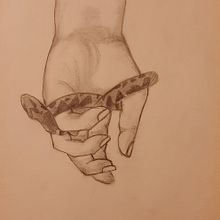 Inmune . Desen în creion de Steffany Castro - 10.18.2024