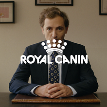 Royal Canin. Design, Web Design, Content Marketing, Content Writing, Social Media, Video, Audiovisual Production, Filmmaking, Graphic Design, and Art Direction project by Enrenow - 10.18.2024