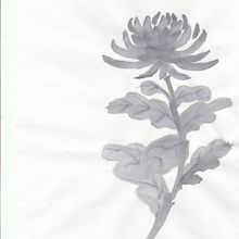 Introduction to Sumi e. Mindfulness, Art Therap, Floral, Plant Design, Botanical Illustration, and Fine Arts project by Cher Cowan - 10.18.2024