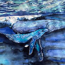 My project for course: : Whales in Watercolour - Humpback Whale with Calf. Watercolor Painting project by Christine de Brenni - 10.17.2024