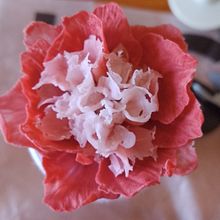 Mi proyecto del curso: Esculpir flores con porcelana fría. Projekt z dziedziny Craft użytkownika renataataner44 - 19.10.2024