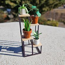 Plantas Miniatura . Un progetto di Design e creazione di mobili e Creatività di guille208 - 21.10.2024
