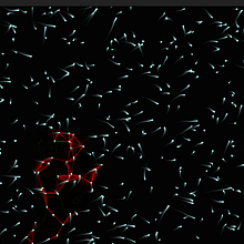 Il mio progetto del corso: Coding creativo: arte immersiva con openFrameworks. Design de produto digital, Motion Graphics, Multimídia, Web Design, e Programação  projeto de ghembs118 - 23.10.2024