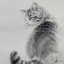 My project for course: Animal Illustration with Charcoal and Ink. Drawing, Ink Illustration, Naturalistic Illustration, and Fine Arts project by Joanne Xu - 10.26.2024