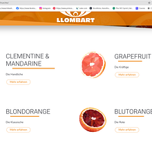 Webdesign und Grafikdesign llombart.de. Design, Web Design, Graphic Design, Cop, and writing project by Aline Llombart - 10.26.2024