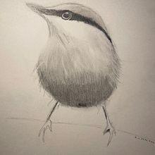My project for course: Artistic Watercolor Techniques for Illustrating Birds. Een project van Traditionele illustratie, Aquarelschilderen, Realistische tekening y Naturalistische illustratie van radka_janczykova - 29.10.2024