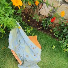 Meu projeto do curso: Roupas vivas: design sustentável e tingimento botânico . Seni, Kerajinan, DIY, Desain Tekstil, Dan Pencelupan Tekstil proyek oleh Monica Garrido - 10.29.2024