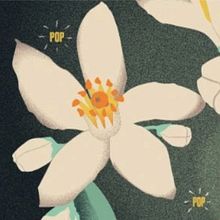 Flower Power. Graphic Design, and Naturalistic Illustration project by Melissa - 07.01.2024