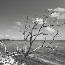 Mi proyecto del curso: Introducción al proceso de impresión en fine art. Fine Arts, Photograph, and Photo Retouching project by Juan Carlos Morelos - 11.02.2024