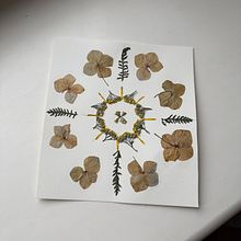 My project for course: Colorful Herbarium from A to Z. Arts, Crafts, Collage, DIY, Fine Arts, Floral, and Plant Design project by pearl_pamela - 11.06.2024
