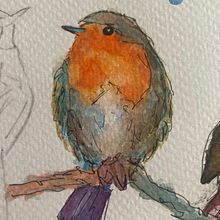 My project for course: Artistic Watercolor Techniques for Illustrating Birds. Traditional illustration, Watercolor Painting, Realistic Drawing, and Naturalistic Illustration project by Magdaléna Švecová - 11.06.2024